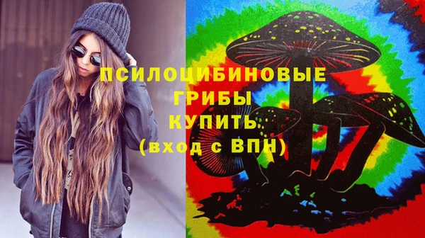 ECSTASY Каменногорск