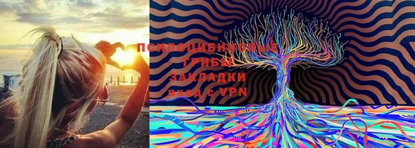 COCAINE Каменка