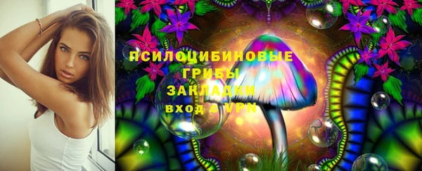 COCAINE Каменка